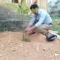 Cán bộ UBND xã Thành yên khai xuân trồng cây