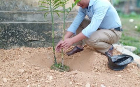 Cán bộ UBND xã Thành yên khai xuân trồng cây